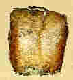 Спинная пластина бронзовой кирасы (102,9Kb)